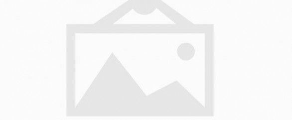 淘金网官网app
